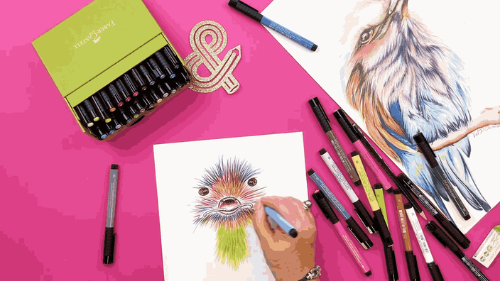 Coloration du plumage
