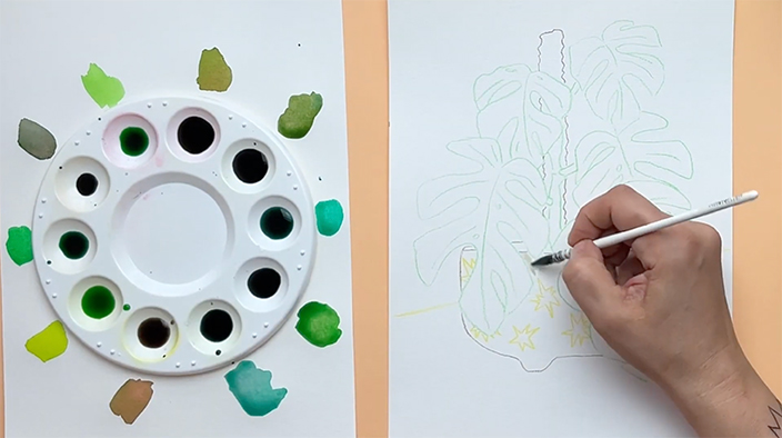 Dessin du squelette de la plante