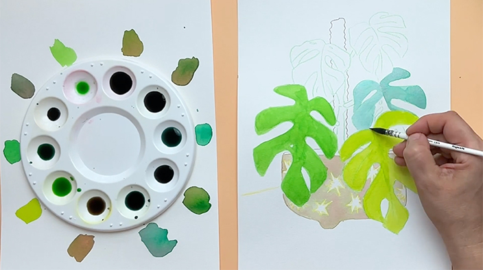 Coloration de la plante
