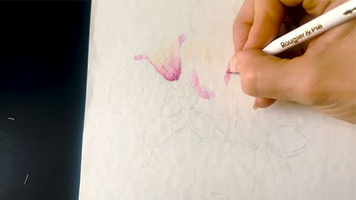 Préparer le dessin et poser les premières couleurs