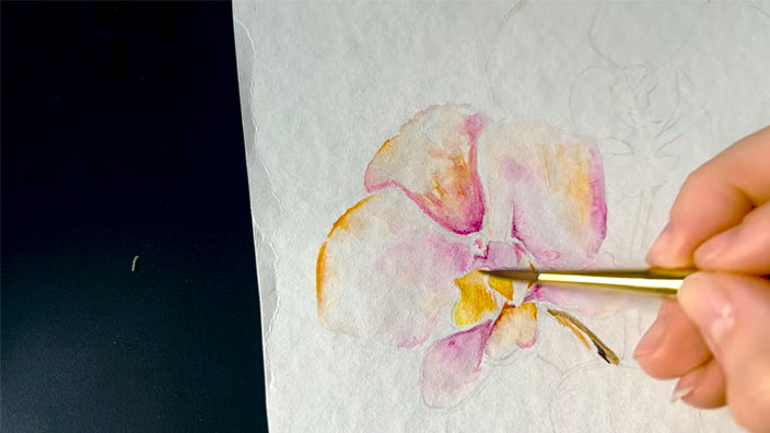 Activer les pigments avec de l’eau