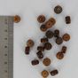 Perle corne tonneau aplatie brun - ambre - 1 x 6 mm