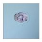 Album scrapbooking 30 x 30 cm Naissance bleu