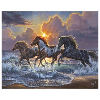 Peinture par numéros Trio de chevaux