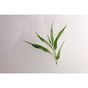 Papier Aquarelle Bamboo 250 g/m² Bloc Spiralé de 15 feuilles