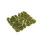 Touffe d'herbe sauvage 6 mm Vert dense