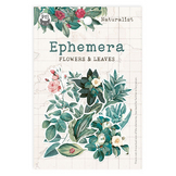 Naturalist Ephemeras feuilles et fleurs 13 pcs