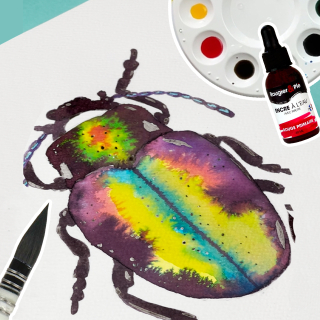 Peindre un scarabée à l'encre aquarelle Rougier&Plé