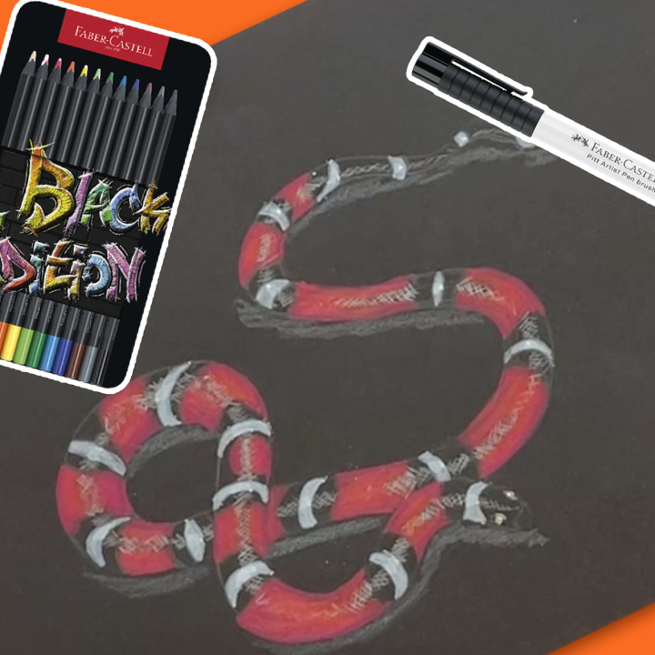 Dessiner un serpent exotique avec les crayons Black Edition