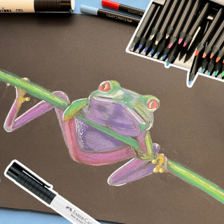Dessiner une grenouille avec les crayons Black Edition
