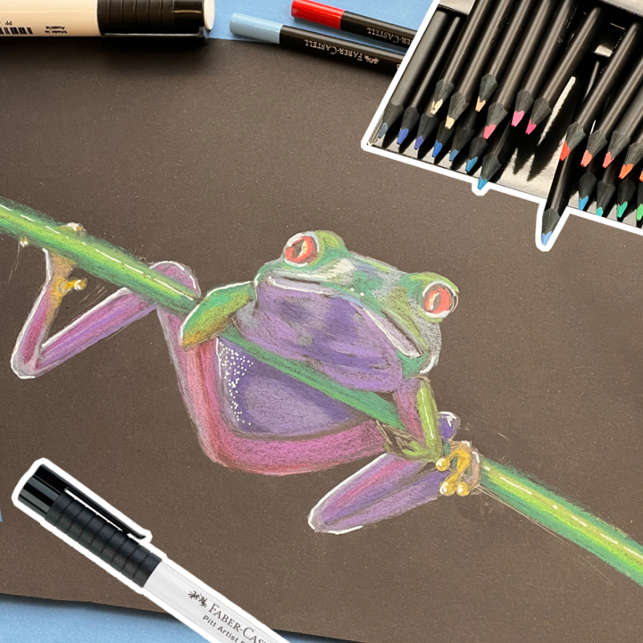 Dessiner une grenouille avec les crayons Black Edition