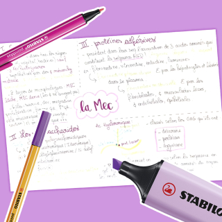 Réaliser une carte mentale avec des feutres Stabilo