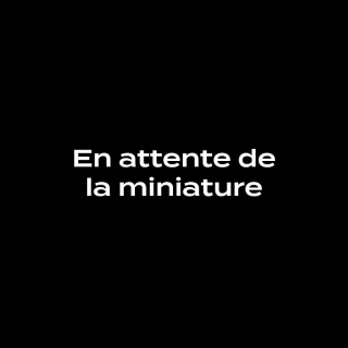  - Rougier et Plé