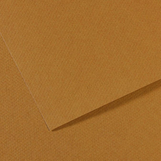 Papier Mi-Teintes 160 g/m² - 50 x 65cm - Canson - Rougier et Plé