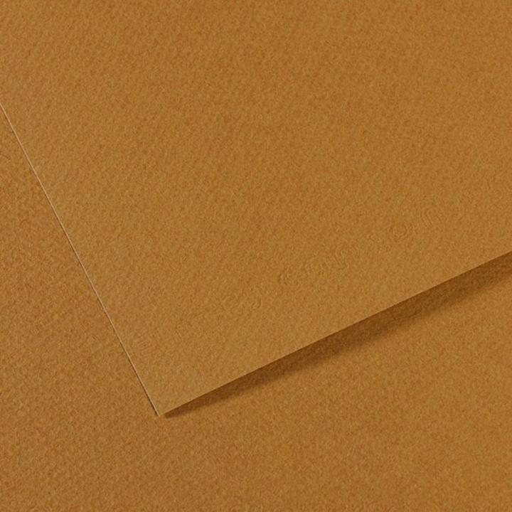 Papier Mi-Teintes 160 g/m² - 50 x 65cm - Canson - Rougier et Plé