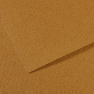 Papier Mi-Teintes 160g 75 x 110cm - Canson - Rougier et Plé