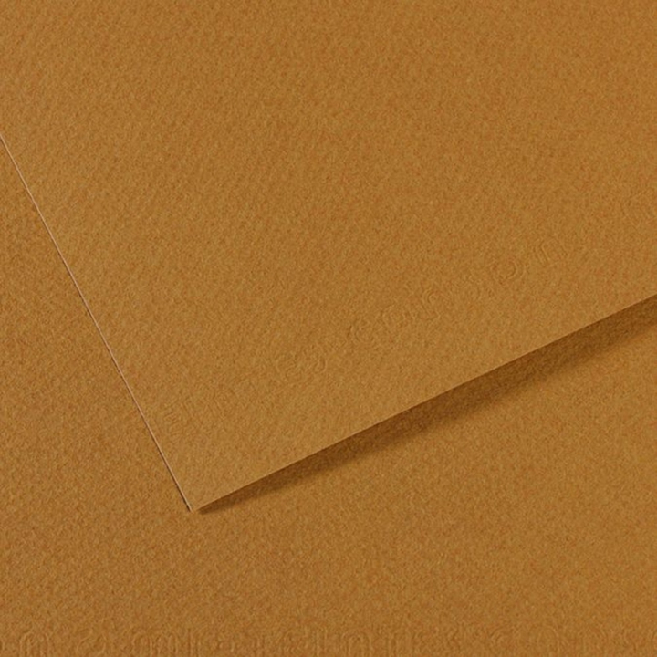 Papier Mi-Teintes 160g 75 x 110cm - Canson - Rougier et Plé