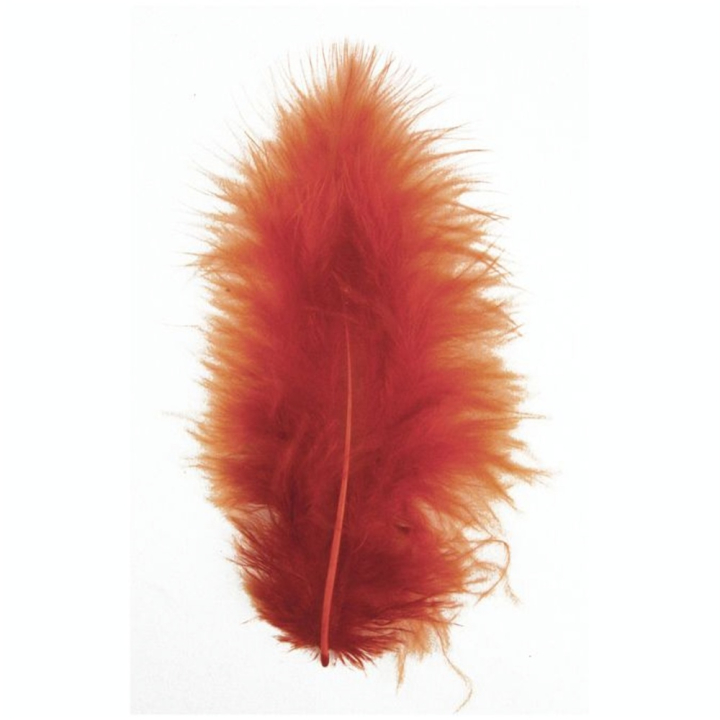 Plume décorative 8cm sachet de 10 - Rayher - Rougier et Plé