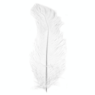 Plume d'autruche 30 cm Blanc - Rayher - Rougier et Plé