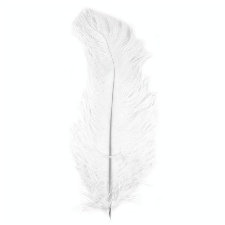 Plume d'autruche 30 cm Blanc - Rayher - Rougier et Plé