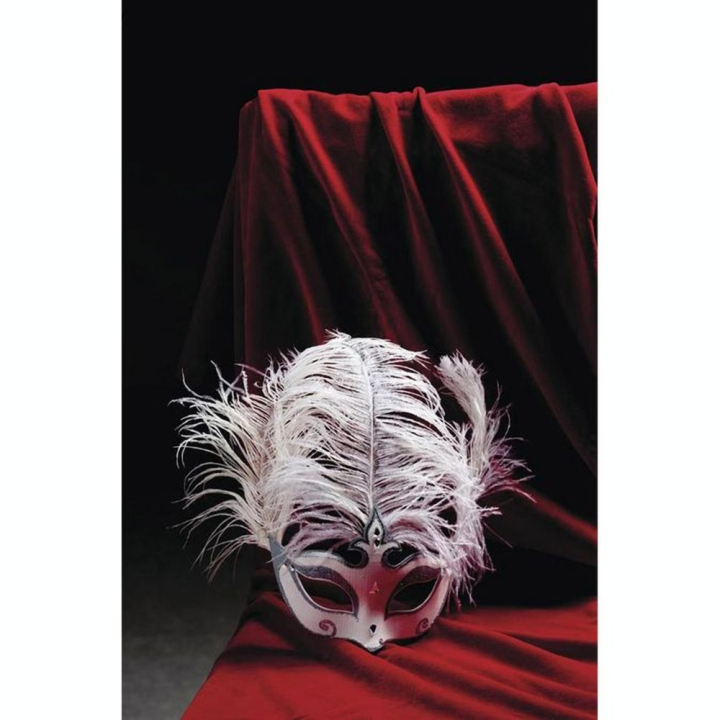 Plume d'autruche 30 cm Blanc - Rayher - Rougier et Plé