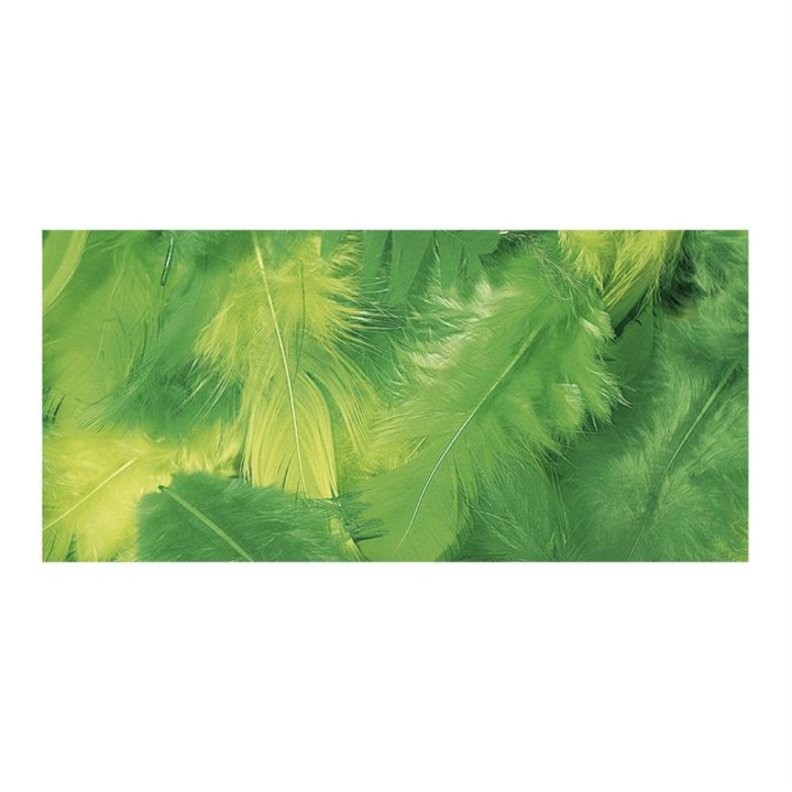 Plumes décoratives 3-10 cm Sachet de 10 g - Rayher - Rougier et Plé