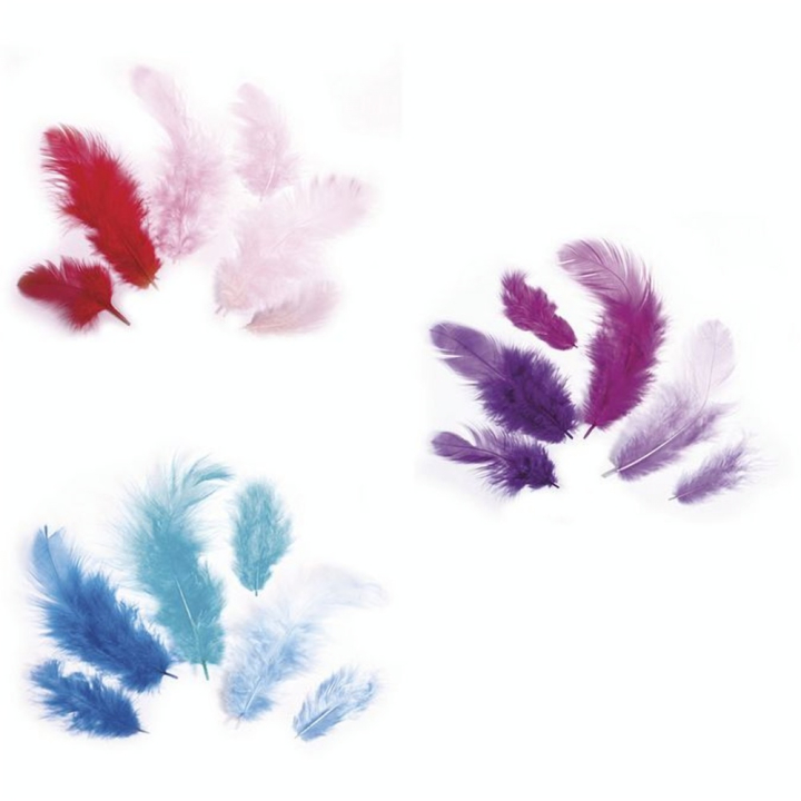 Plumes décoratives 3-10 cm Sachet de 10 g - Rayher - Rougier et Plé