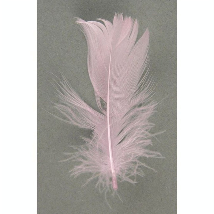 Plume décorative 5-10 cm Sachet de 5 g - Rayher - Rougier et Plé
