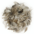 Plumes décoratives 7-9 cm Pepita 10 g - Rayher - Rougier et Plé