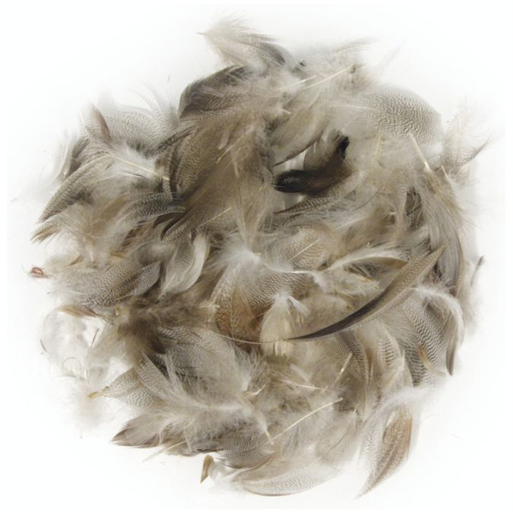 Plumes décoratives 7-9 cm Pepita 10 g - Rayher - Rougier et Plé