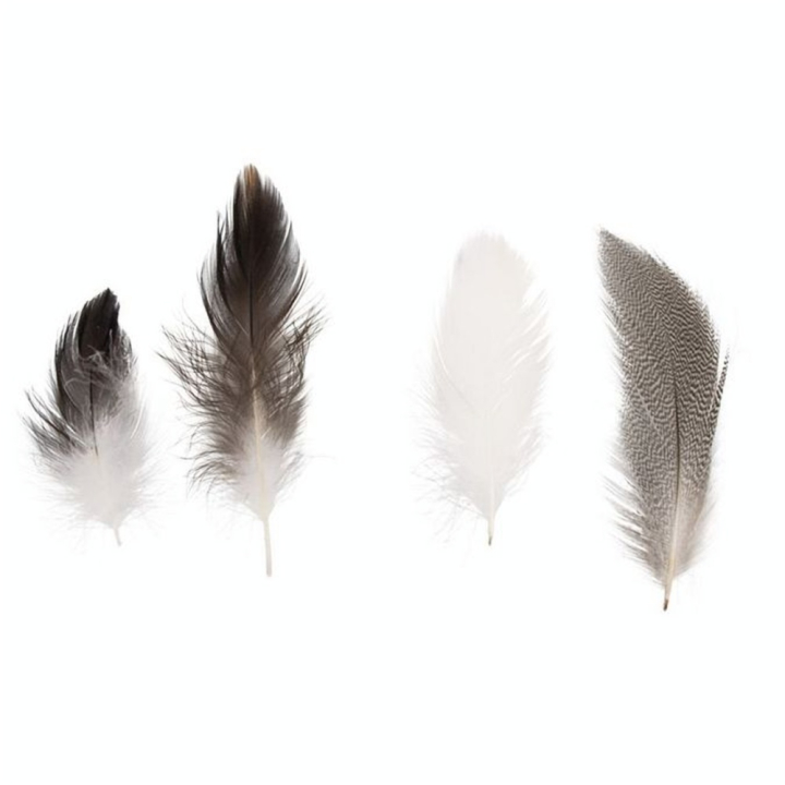 Plumes décoratives 7-9 cm Pepita 10 g - Rayher - Rougier et Plé