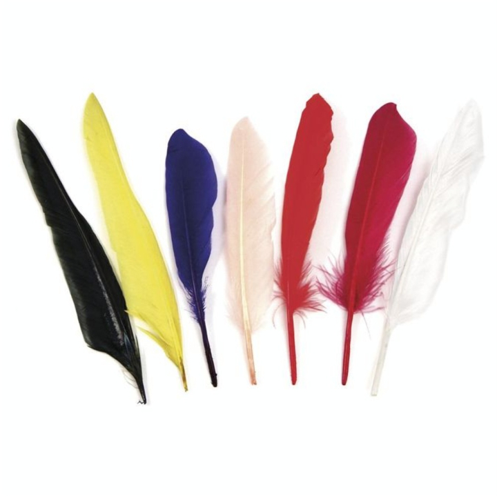 Plume indienne 17.5 cm Set de 12 couleurs assorties - Rayher - Rougier et Plé