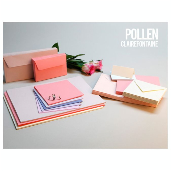 Carte faire part Pollen 210g 110 x 155mm par 25 - Clairefontaine - Rougier et Plé
