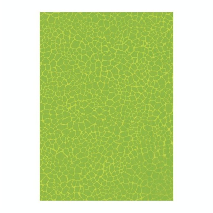 Papier 30 x 40cm 531 lézard vert - Décopatch - Rougier et Plé