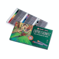 Boîte pastels à l'huile 36 couleurs assorties Expressionist - Cray Pas - Rougier et Plé