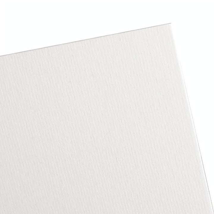 Contrecollé Ingres Vidalon Vergé 80 x 120 cm ep. 0,8 mm - Canson - Rougier et Plé