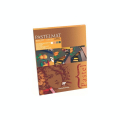 Bloc pastel Pastelmat 360g 18 X 24 - Clairefontaine - Rougier et Plé