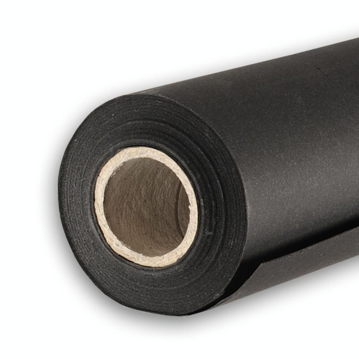 Canson tableau noir grain fin 125 g/m², rouleau - Canson - Rougier et Plé