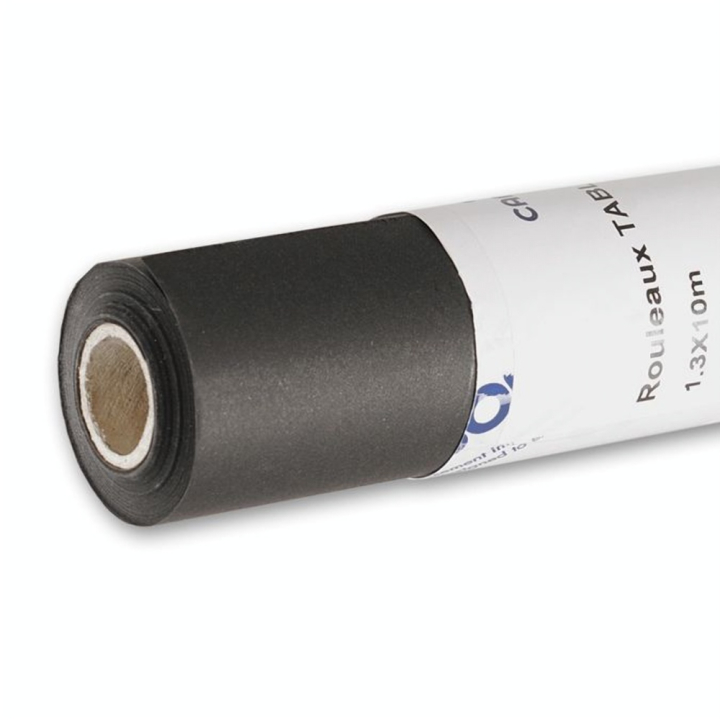 Canson tableau noir grain fin 125 g/m², rouleau - Canson - Rougier et Plé