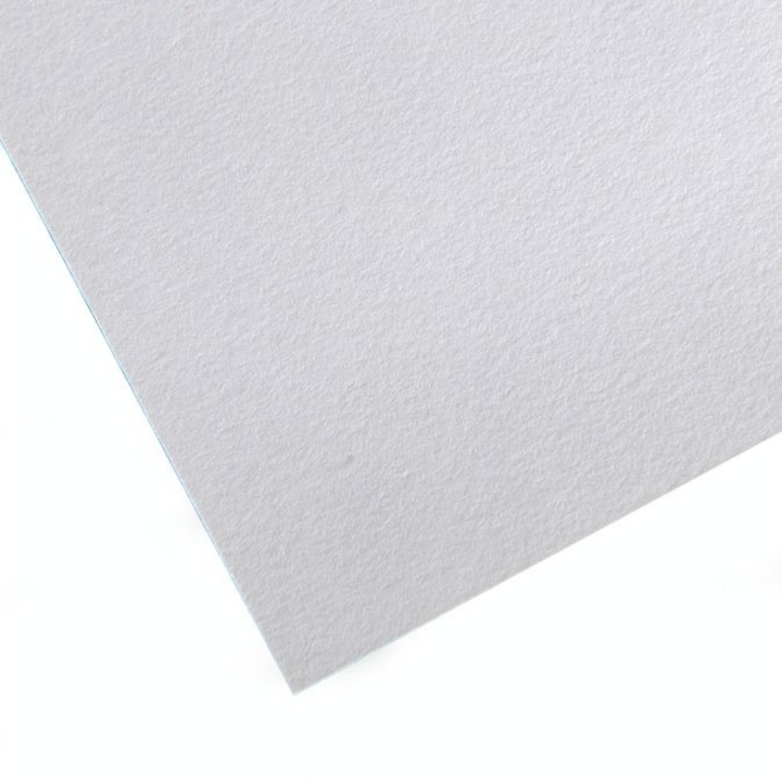 Canson Buvard 250g/m² 50 x 65 cm - Canson - Rougier et Plé
