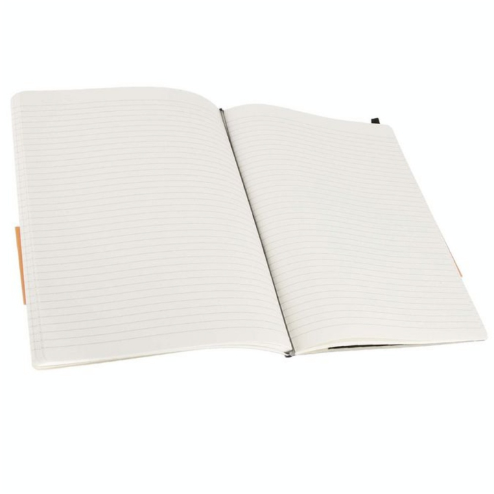 Carnet de notes ligné 19 X 25 noir - Moleskine - Rougier et Plé