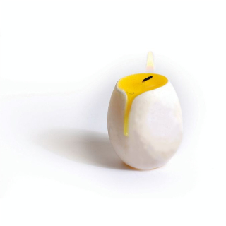 Bougie oeuf Ø45 mm - 60 mm - DTM - Rougier et Plé