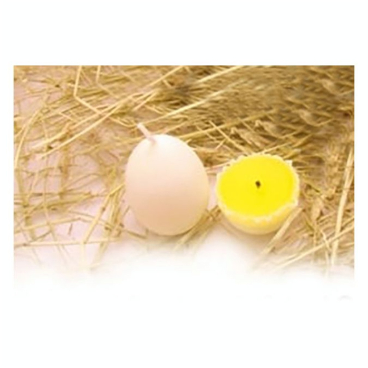 Bougie oeuf Ø45 mm - 60 mm - DTM - Rougier et Plé