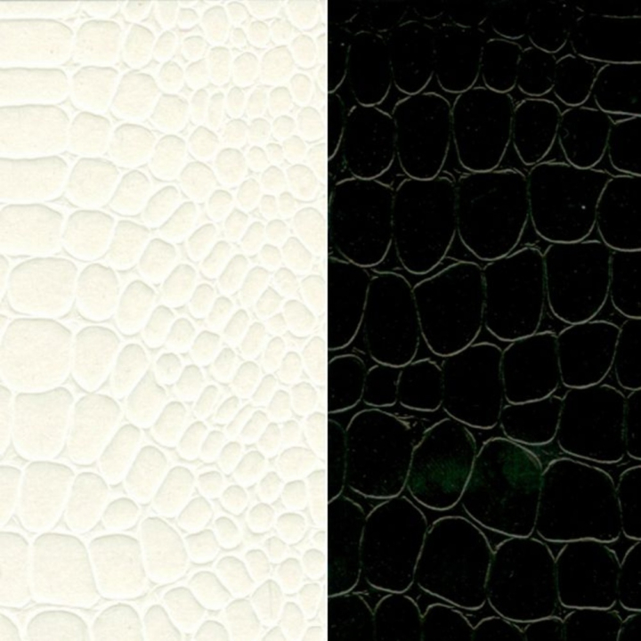 Papier Pellaq® CROCO 50 x 68 cm 188g - Skivertex - Rougier et Plé