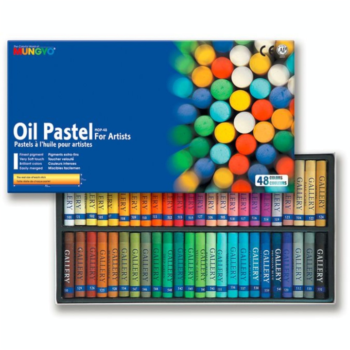 Boîte de 48 pastels à l'huile - Mungyo - Rougier et Plé