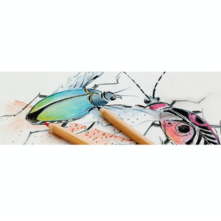 Boîte métal 12 crayons PITT pastel - Faber-Castell - Rougier et Plé