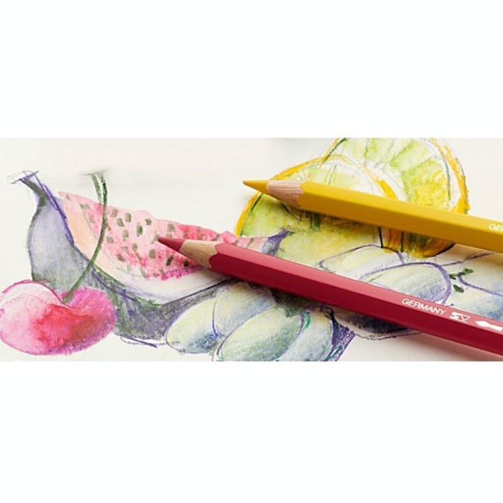 Crayon aquarellable Albrecht Dürer - Boite en métal 12 couleurs - Faber-Castell - Rougier et Plé