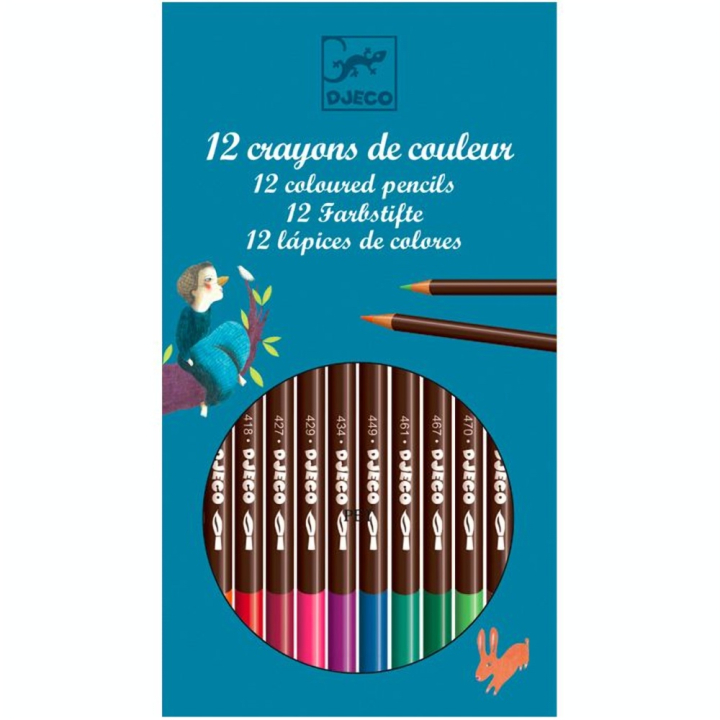 Crayons aquarellables assortiment de 12 couleurs classiques - Djeco - Rougier et Plé