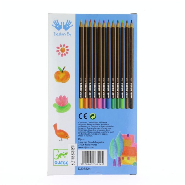 Crayons aquarellables assortiment de 12 couleurs classiques - Djeco - Rougier et Plé