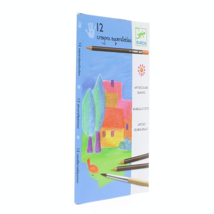 Crayons aquarellables assortiment de 12 couleurs classiques - Djeco - Rougier et Plé